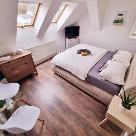 Penzion Orion Petrovice  Экстерьер фото